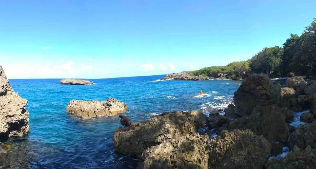 بيت للعطل فيلا Cozy 2Br Port Antonio Retreat With Stunning Sea Views